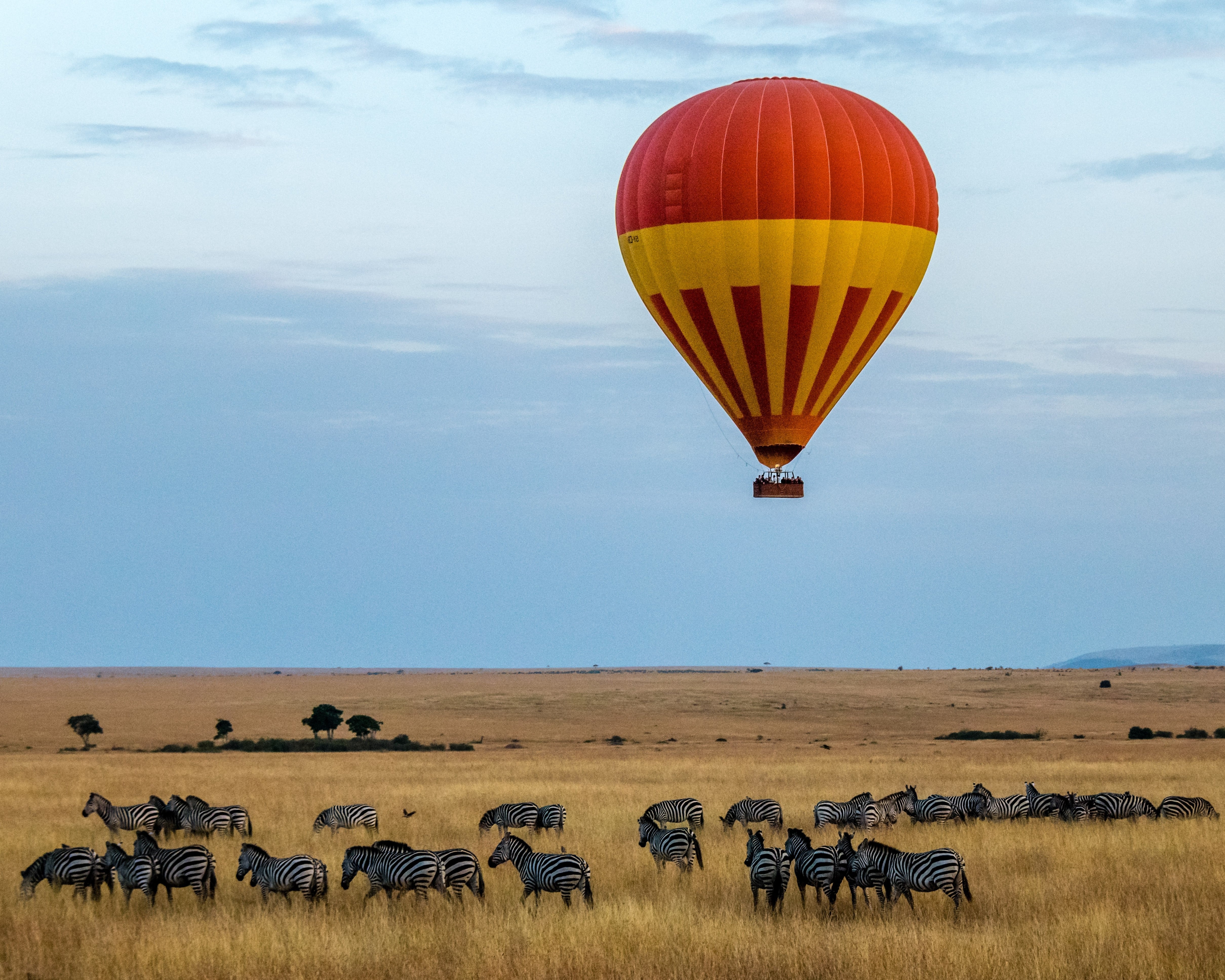 Wildlife conservation and ecosystem management